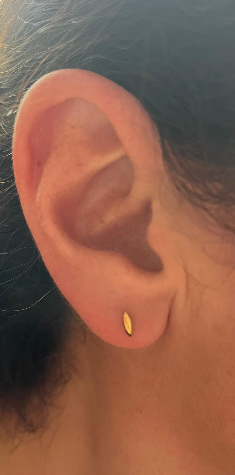 Gold Vermeil 14K Oval Push-Back Earrings