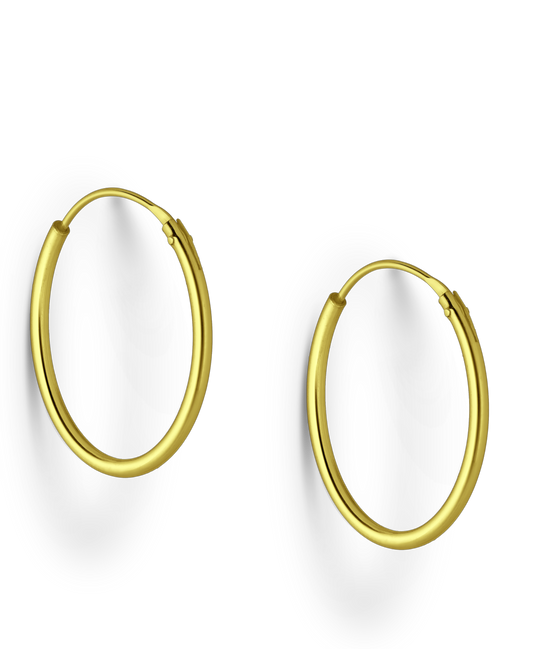 Gold Vermeil 18K Hooped Earrings